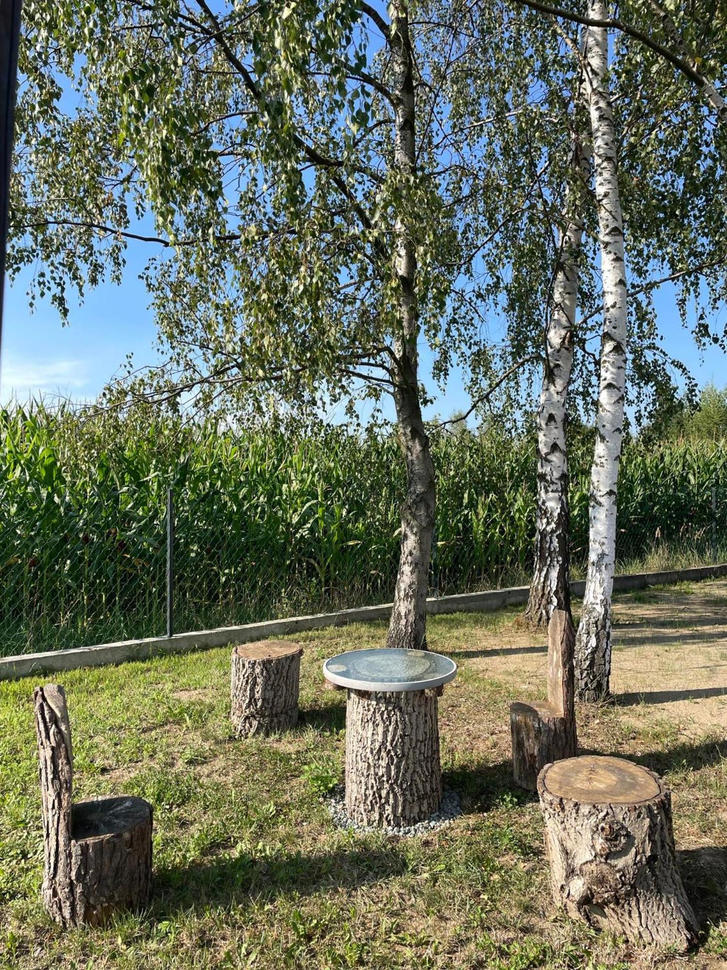 Apartamenty Zator Energy Rest Buitenkant foto